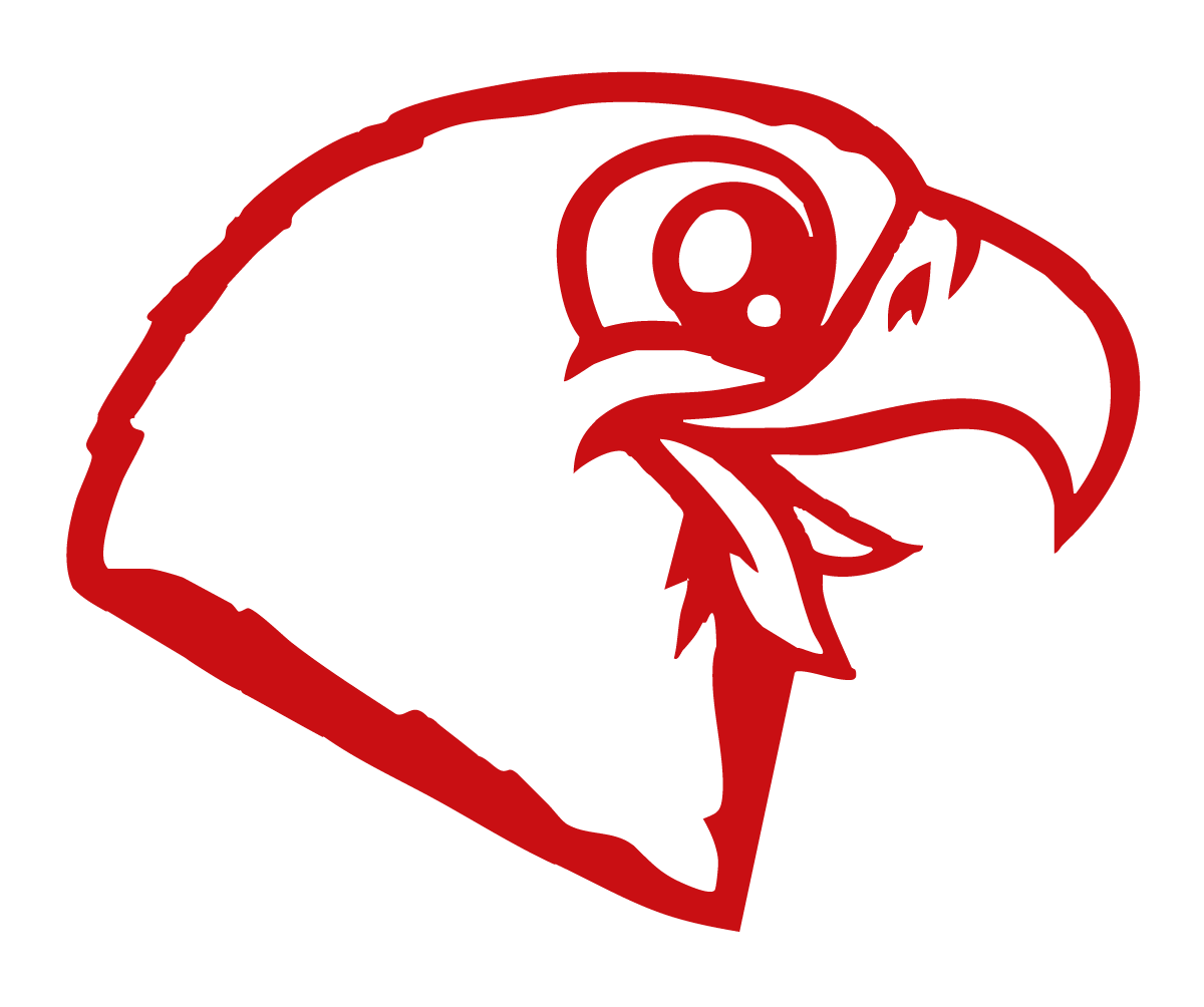 22. Hawk Head